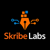 Skribe Labs
