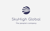 SkyHigh Global Contact center