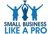 Small Business Like A Pro