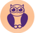 Smart Owl Info Systems