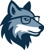 SMART WOLVES LLC