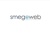 SMEGOWEB - Digital Marketing Agency