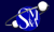 Smith Mandel & Associates LLP