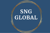 SNG Global solutions