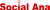 SocialAna: Precision Social Media Marketing