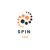 Spin SMM