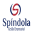 Spíndola Gestão Empresarial