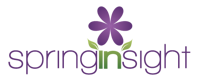 Spring Insight Marketing, LLC