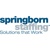 Springborn Staffing / LDT Human Capital Solutions