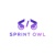 Sprint Owl