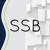 S.S.Burad & Associates