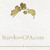 Starykov Tax & Accounting LLC
