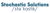 Stochastic Solutions