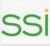 Strategic Solutions, Inc.