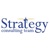Strategy Consulting Team