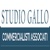 Studio Gallo Commercialisti Associati