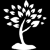 Sun & Associates CPA - Hayward