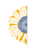 Sunflower Web Design and Branding