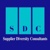 Supplier Diversity Consultants