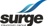 Surge Strategies Group