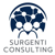 Surgenti Consulting LLC