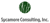 Sycamore Consulting Inc.