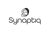 Synaptiq