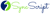 SyncScripts