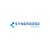 SynerEdge Solutions LLC