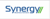 Synergy Business Advisers