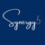 Synergy5 Consulting