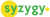 SYZYGY Enterprise Solutions
