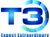 T3