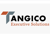 Tangico Executive Solutions Corp.