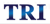 Tax Resolution Institute