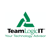 TeamLogic IT by Visco Ventures