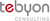 Tebyon Consulting
