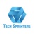 Tech Sprinters Company