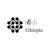 Tech5 Ethiopia IT SOLUTION PLC