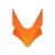 TechFox International Technology Joint Stock Stock Company
