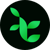 Techivies Solutions