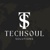 Techsoul Solutions