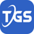 Telegenisys Inc