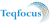 Teqfocus Consulting LLC