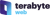 TeraByte Web