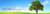 Tesoro & Associates, CPA′s