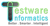 Testware Informatics