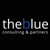 The Blue Commerce Consulting