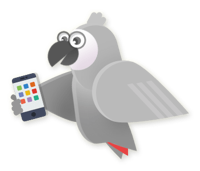 The Grey Parrots