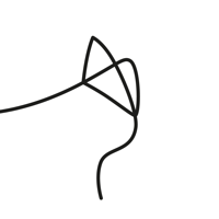 The Kite Rises
